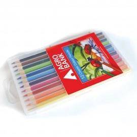 Agrobank Colour Pencil | Ladybug